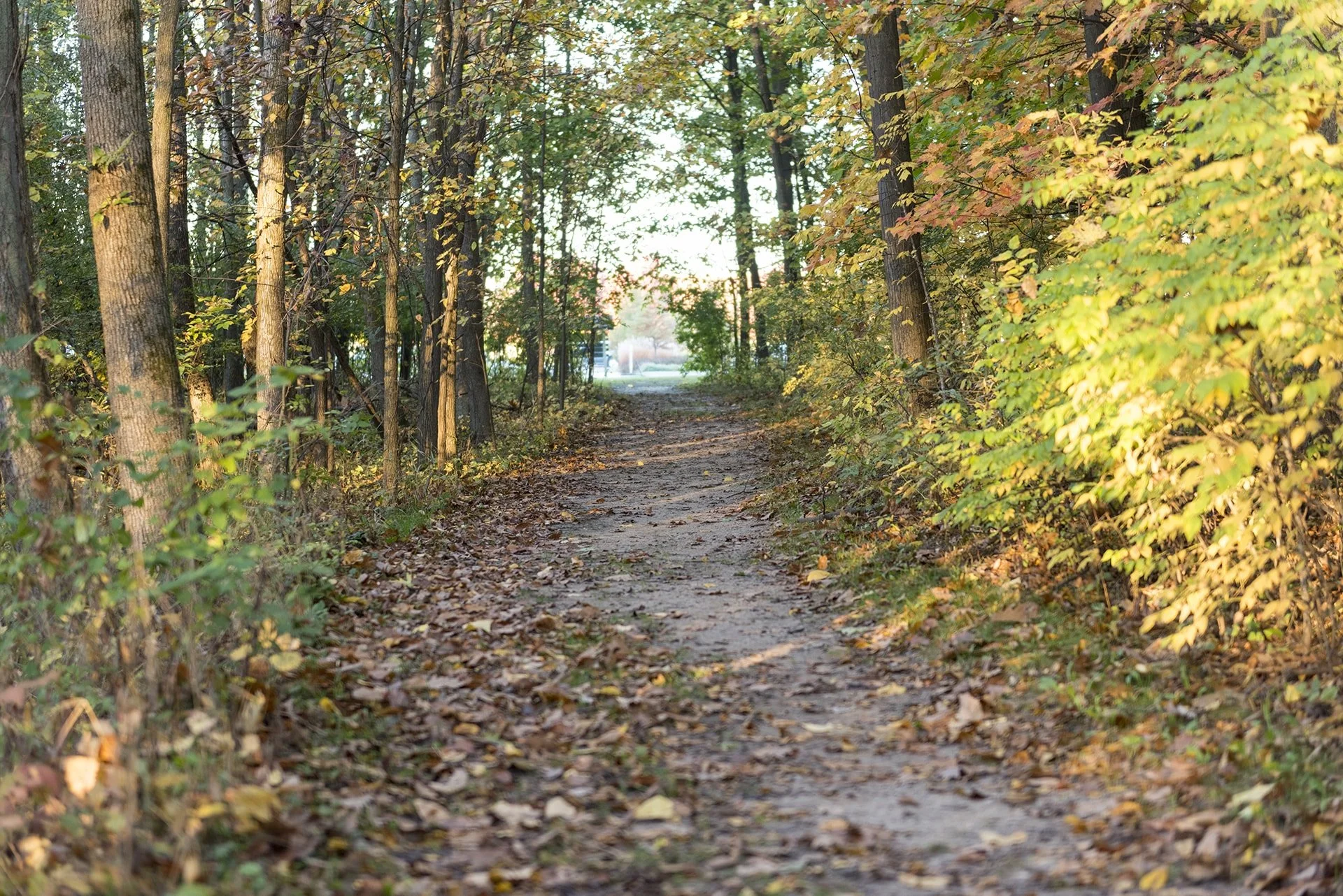 walking-trail-001.jpg
