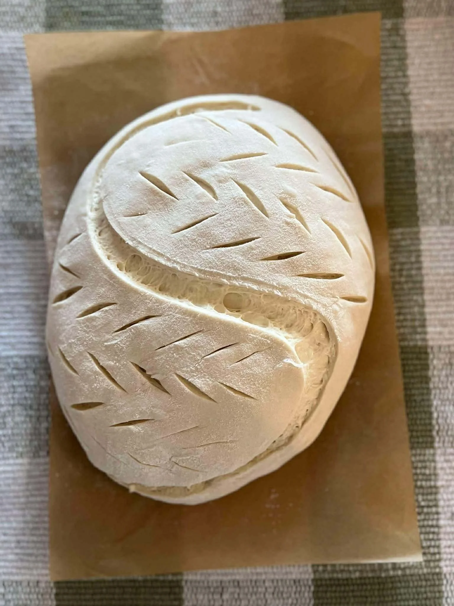 6a4685a6cb194e0200c12abf0805cb5c 2.JPEG