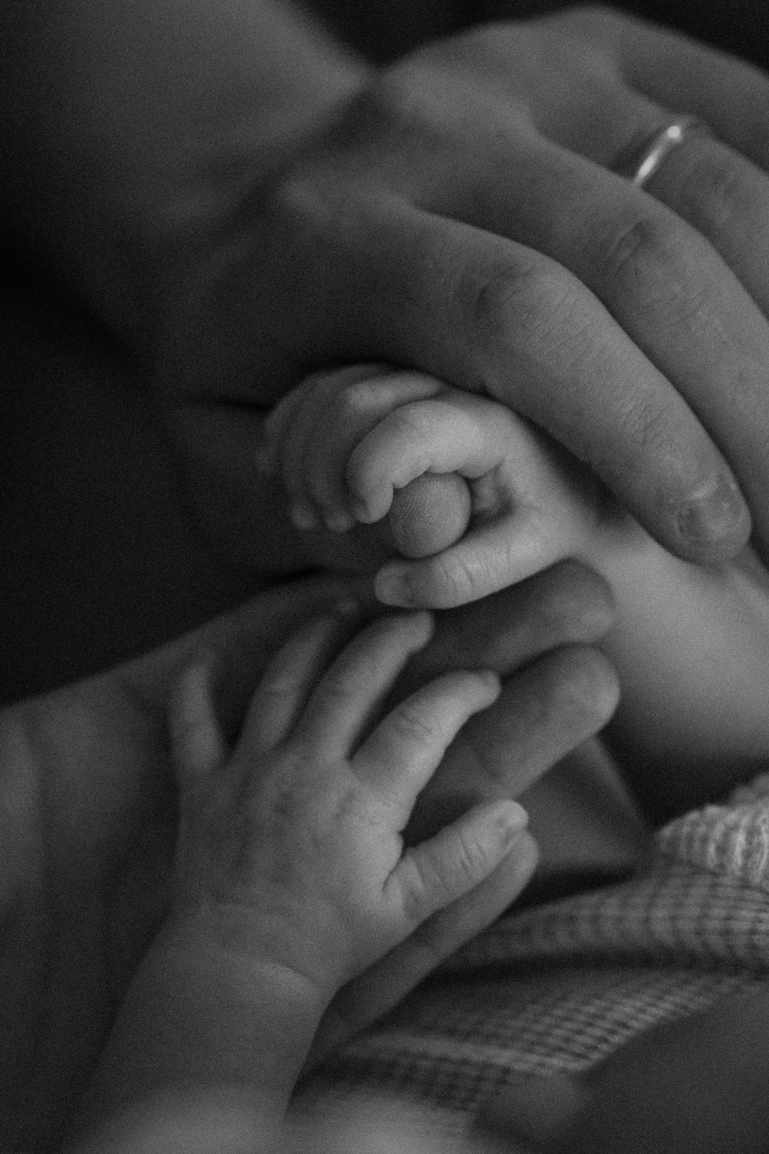Ruben Newborns_May 30, 2026_92.jpg