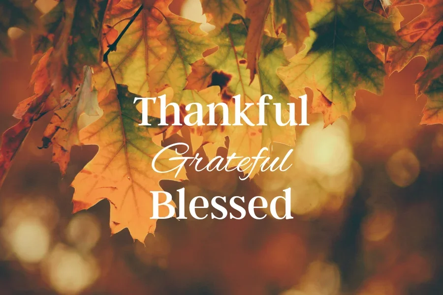 Join The Sunday, November 23, Procession! 