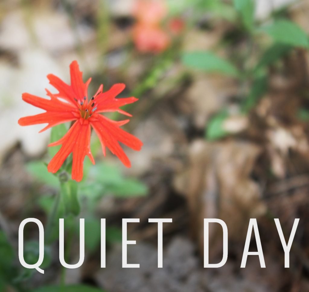 Daughters of the King Quiet Day