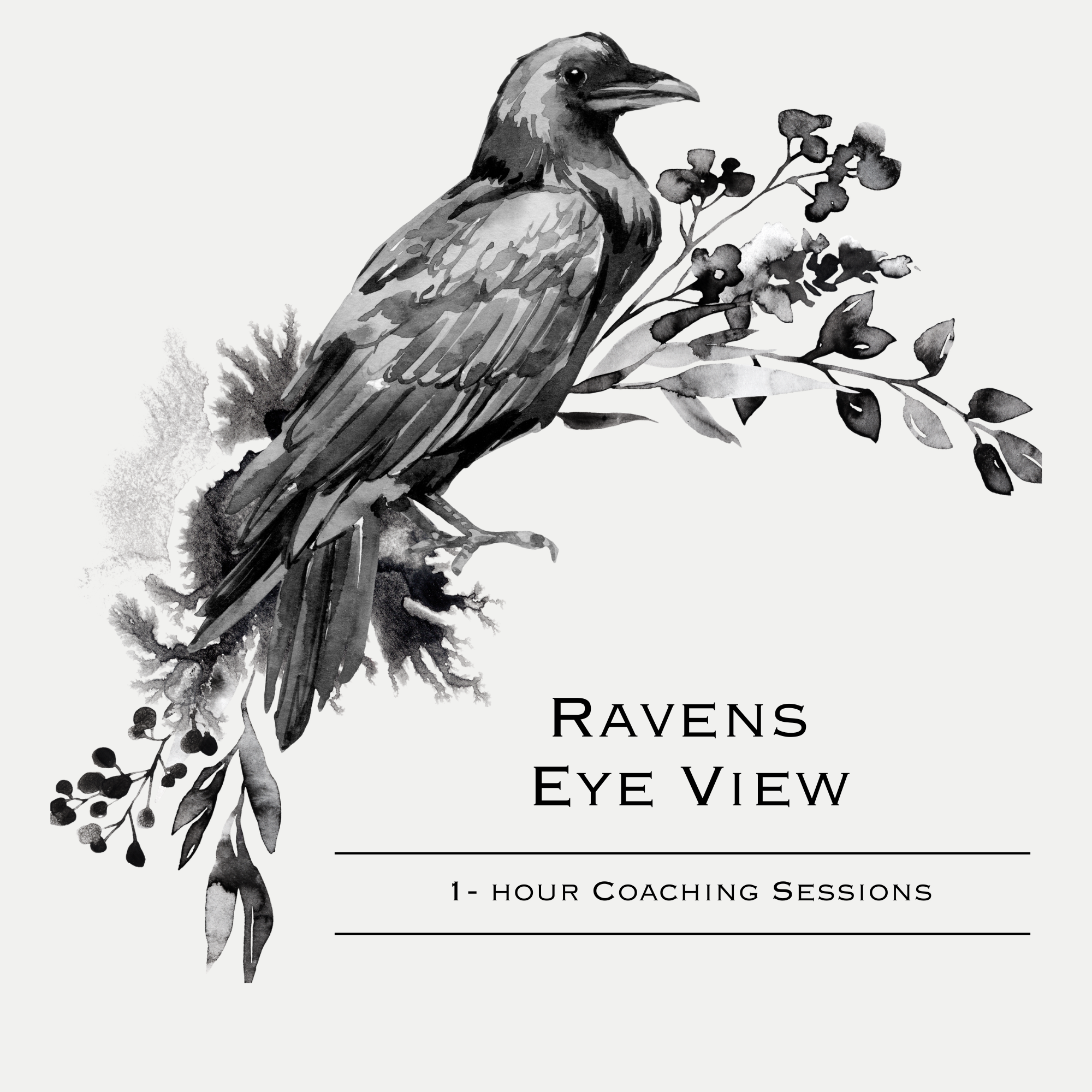 Raven's Eye View Coaching- 1:1 Career Coaching Session