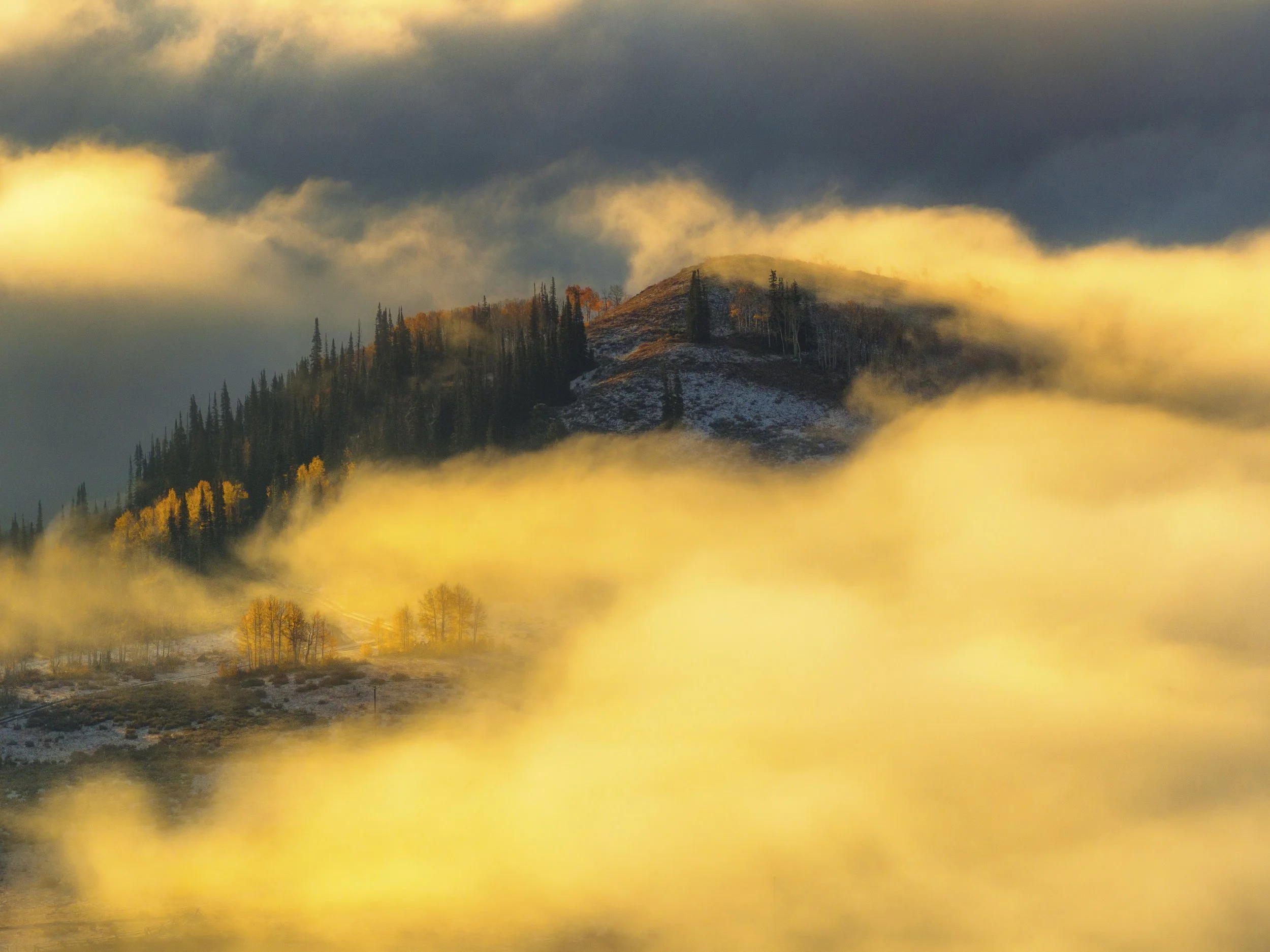 DJI_20251006101708_0505_D-Edit-Edit-Edit.jpg