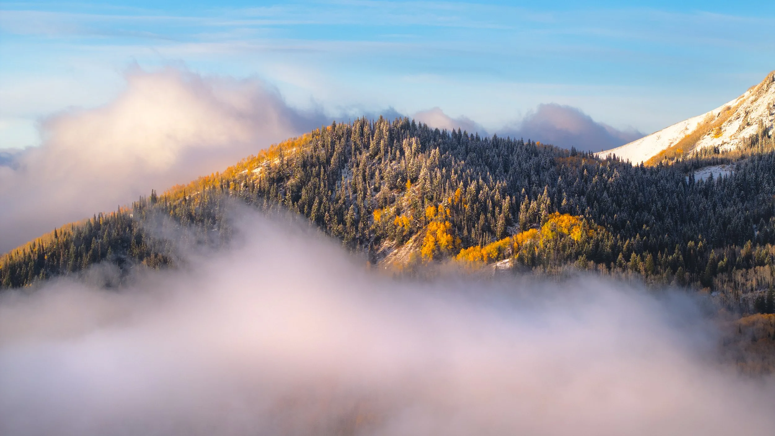 DJI_20251006101505_0461_D-Edit-Edit.jpg