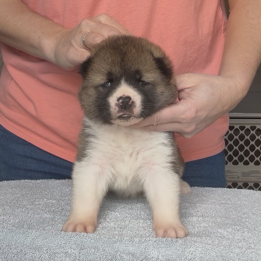 Girl 4 - 3 weeks old