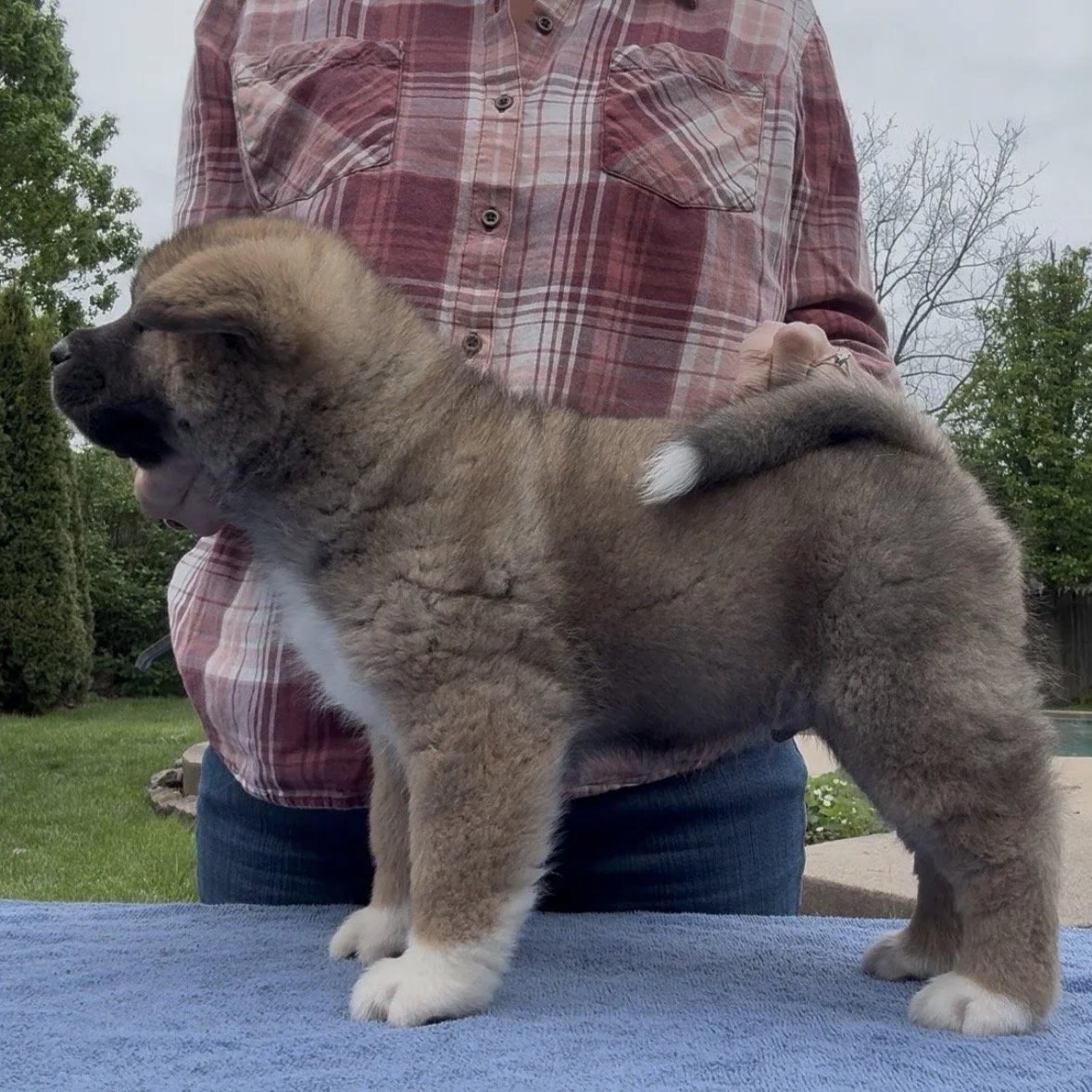 Boy 2 - 6 weeks old. Reserved. Rob