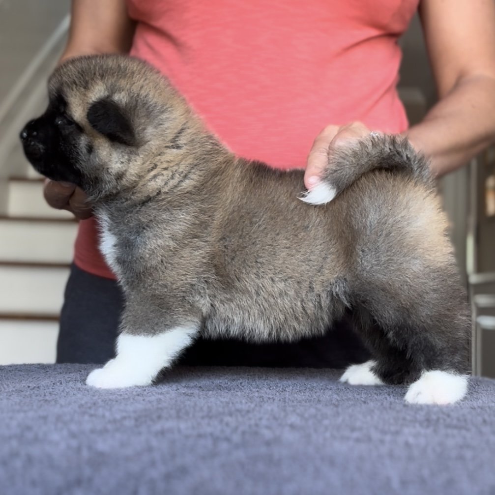 Girl 1 - 4 weeks old