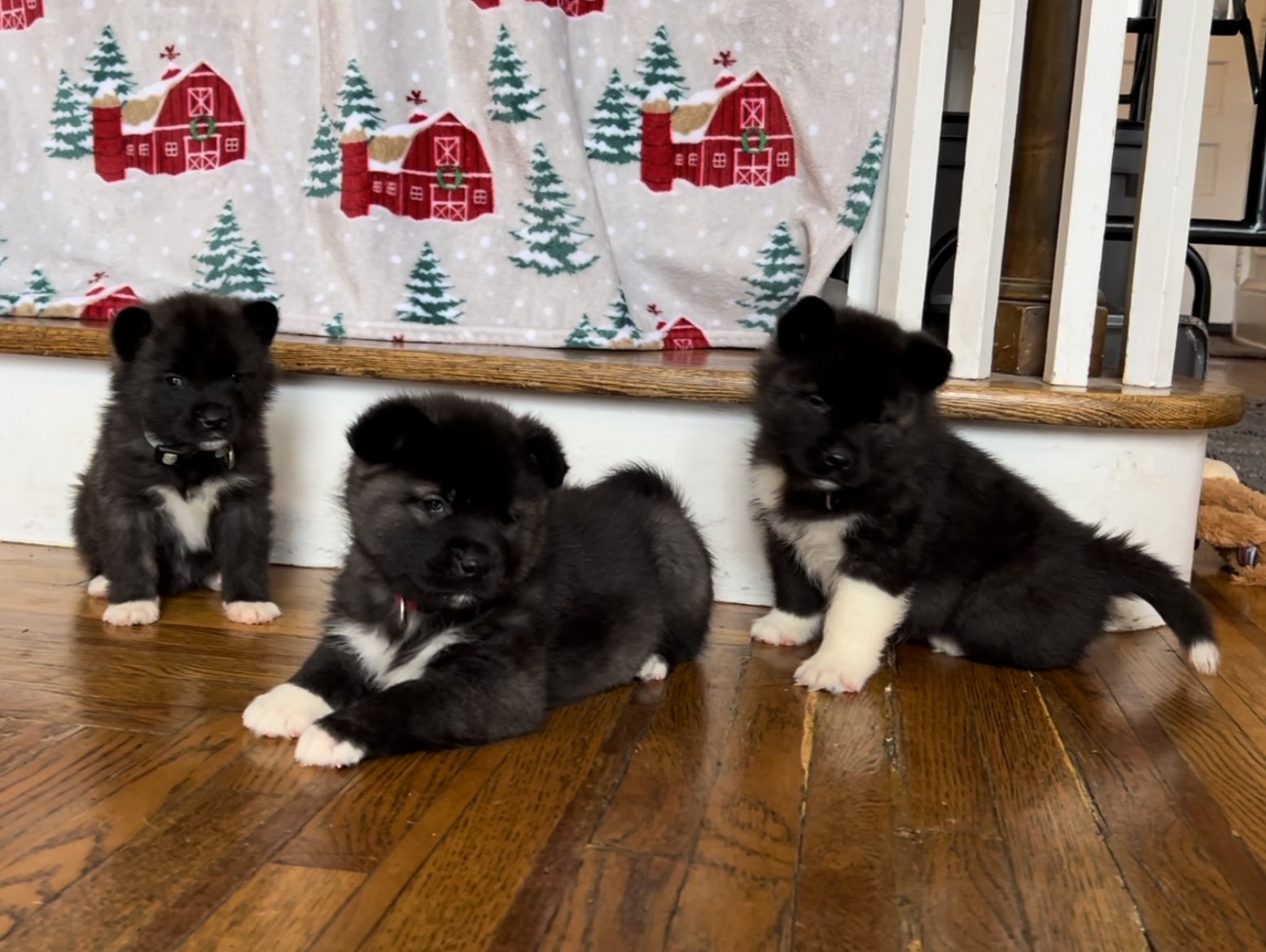 Girl 2 teal, Girl 1 pink, Boy
