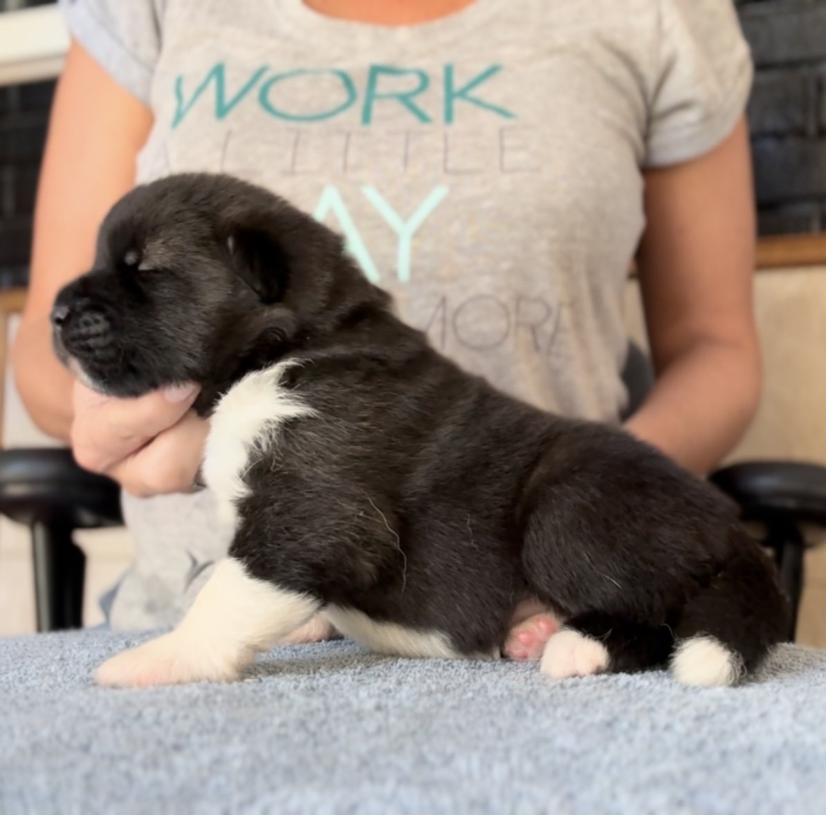 Girl 3 - 2 weeks old