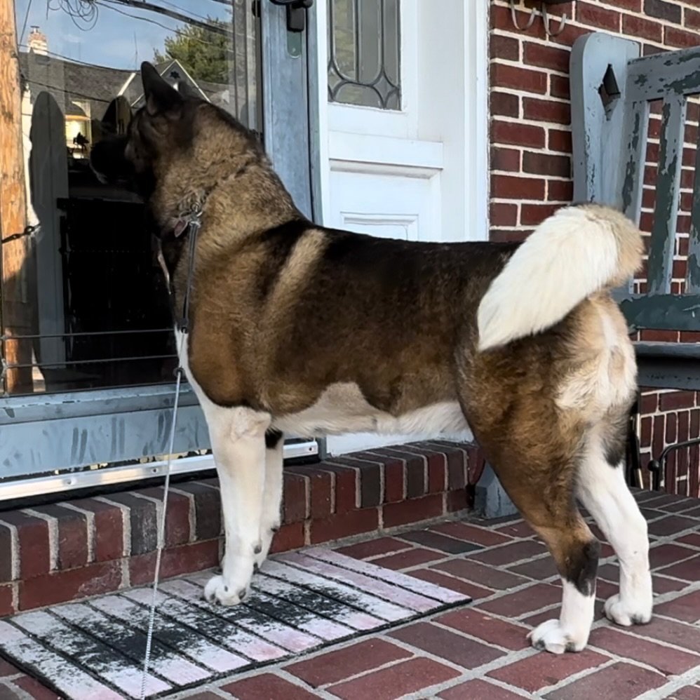 Bella - Mom