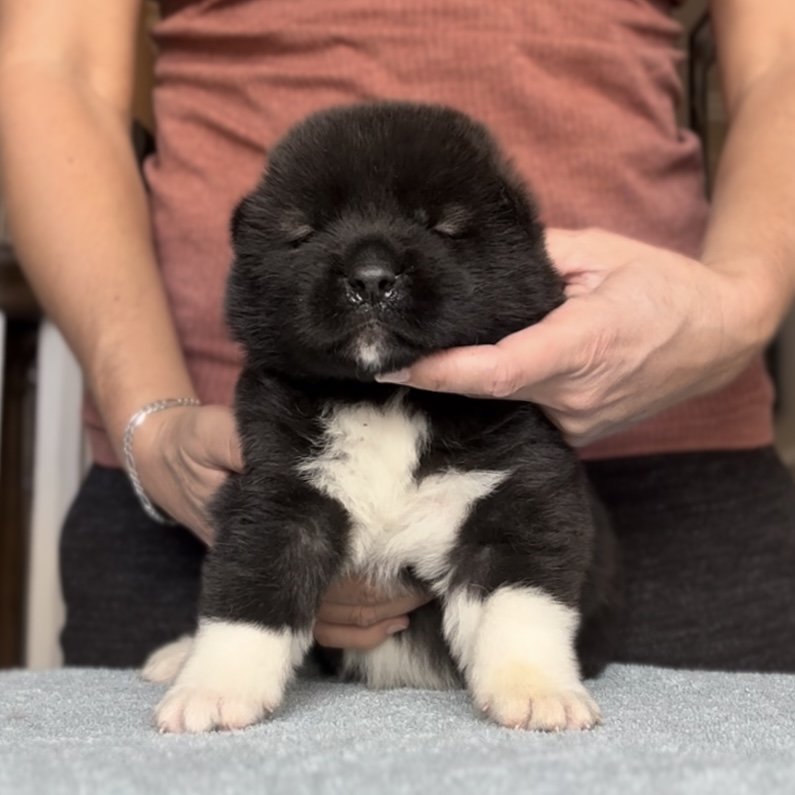 Boy 2 - 3 weeks old
