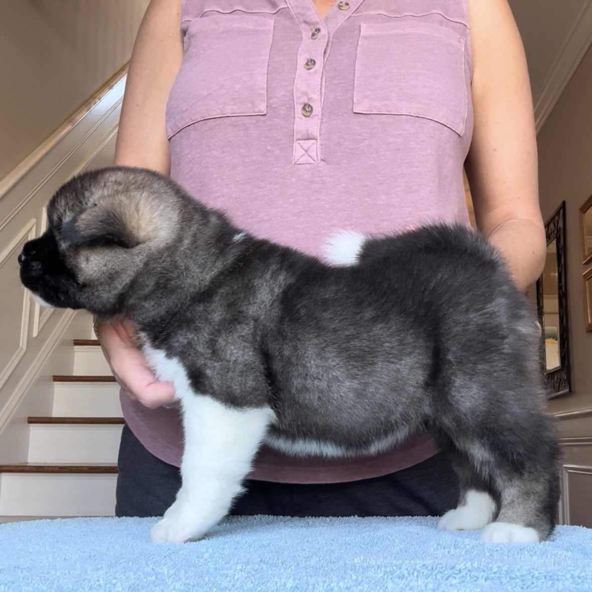 Girl 1 - Reserved. Lance & Katie