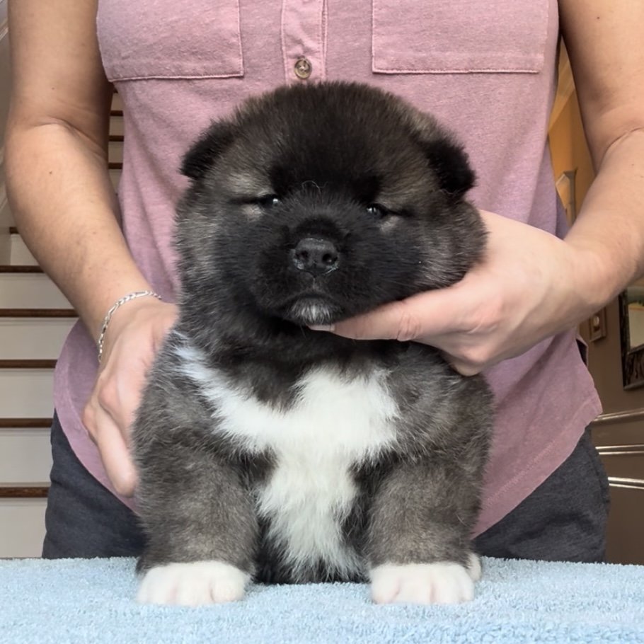 Boy 4 Reserved. Nicole