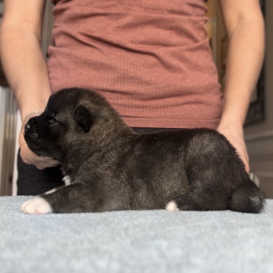 Boy 4 - 3 weeks old