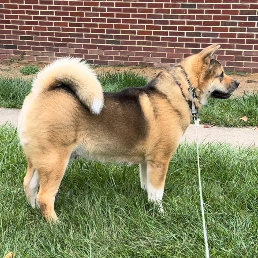 Mom - Ember