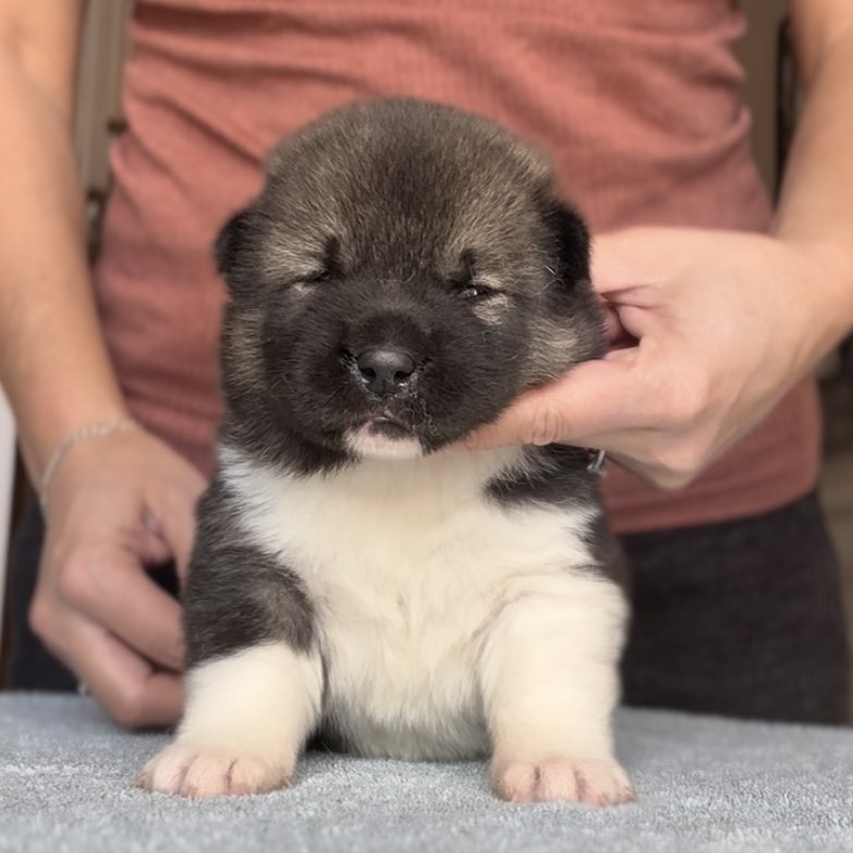 Girl 1 - 3 weeks old