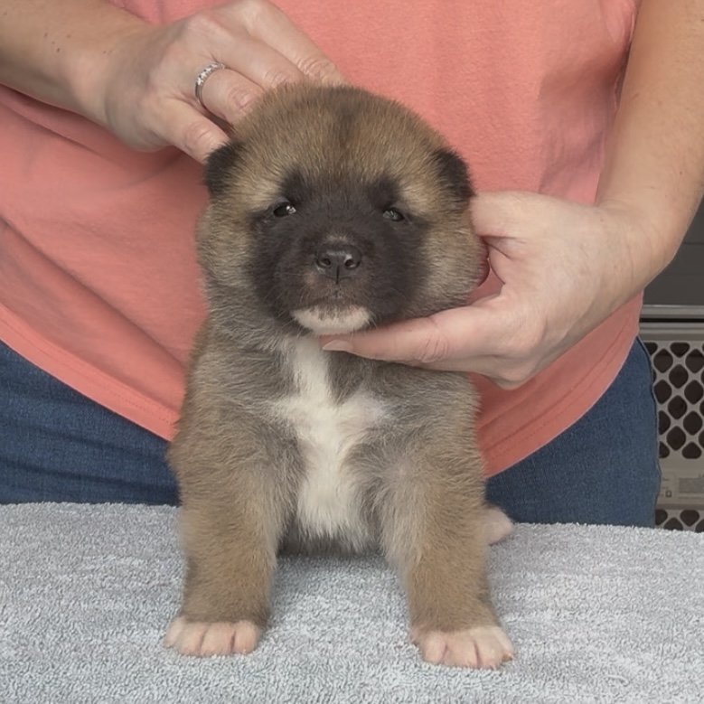 Girl 1 - 3 weeks old