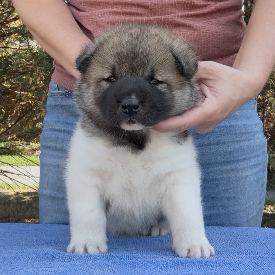 Girl 2 - 4 weeks old