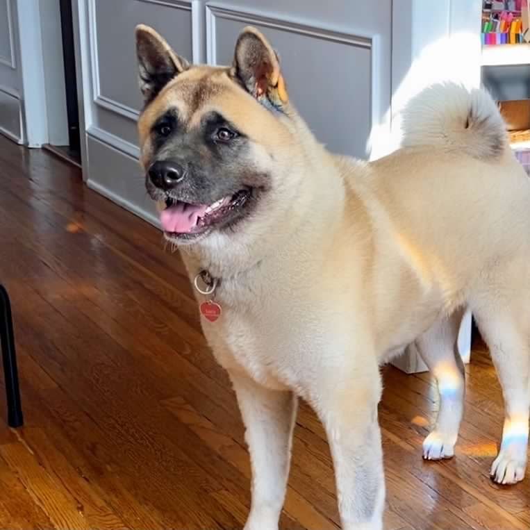 Lucy - mom