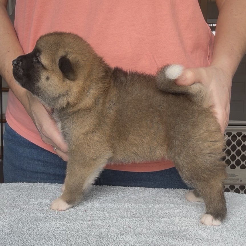 Girl 1 - 3 weeks old