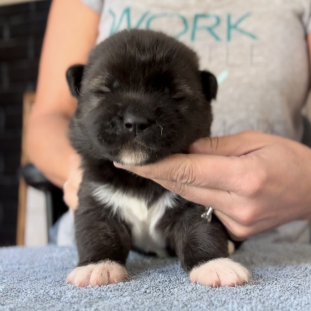 Girl 1 - 2 weeks old