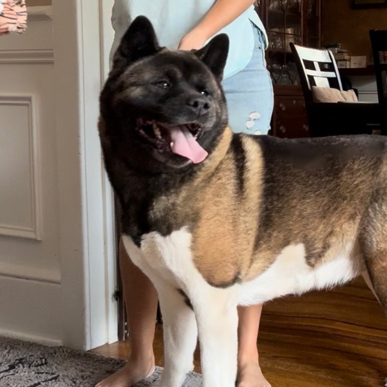 Bella - Mom