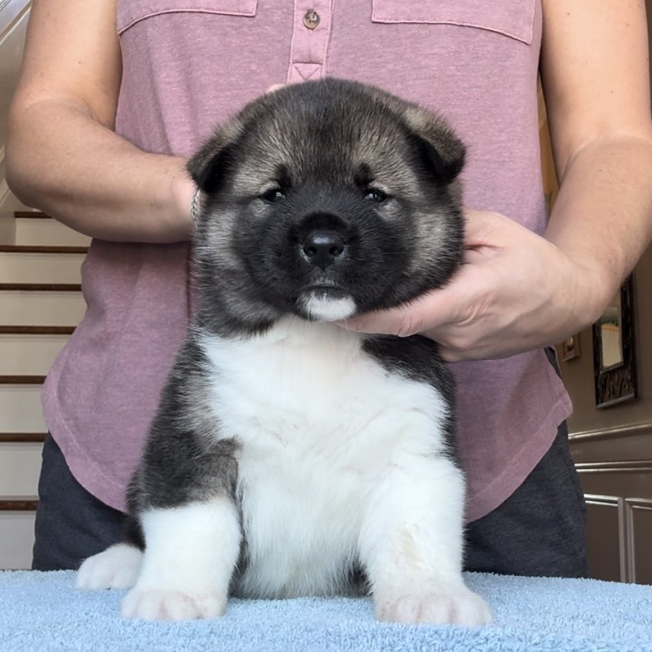 Girl 1 - Reserved. Lance & Katie