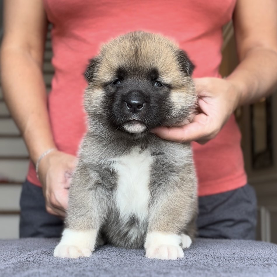 Boy 1 - 4 weeks old
