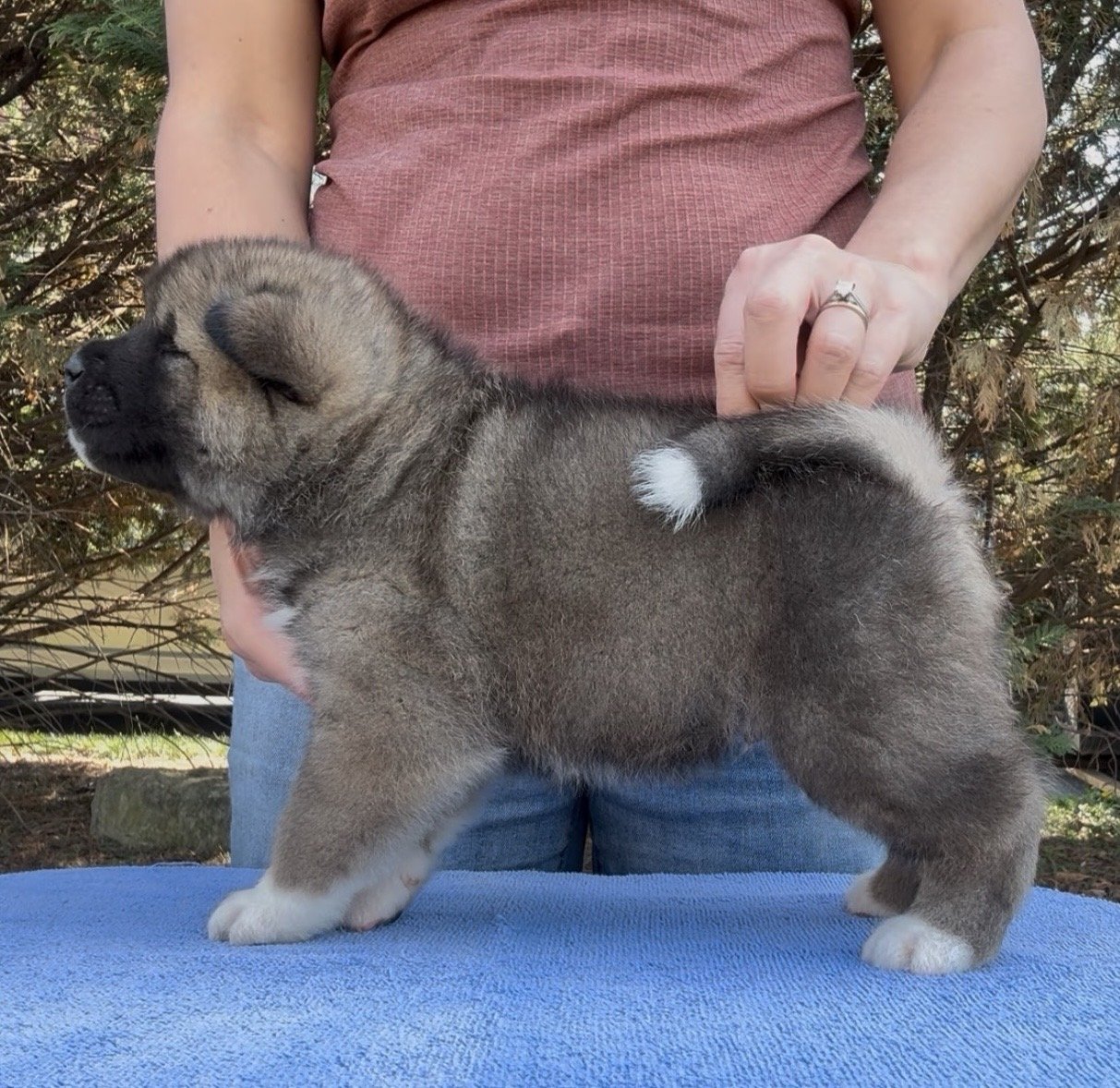 Boy 2 - 4 weeks old. Reserved. Rob