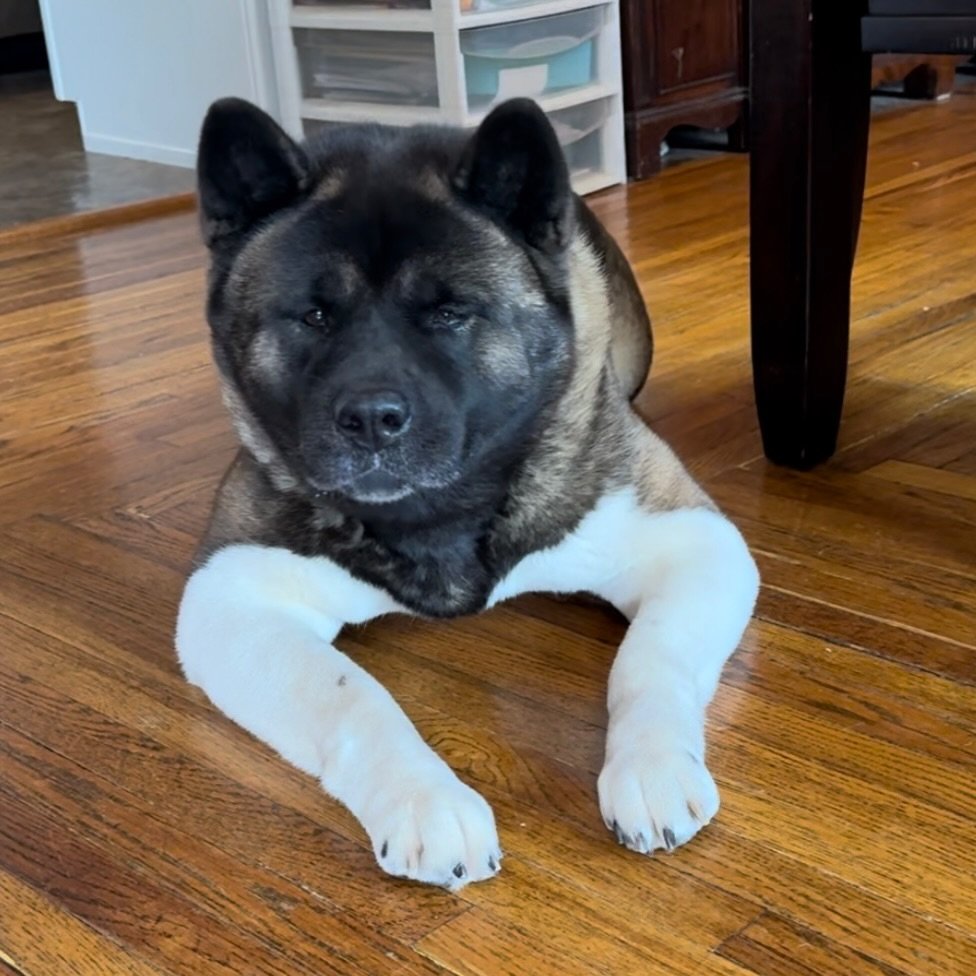 Bella - Mom