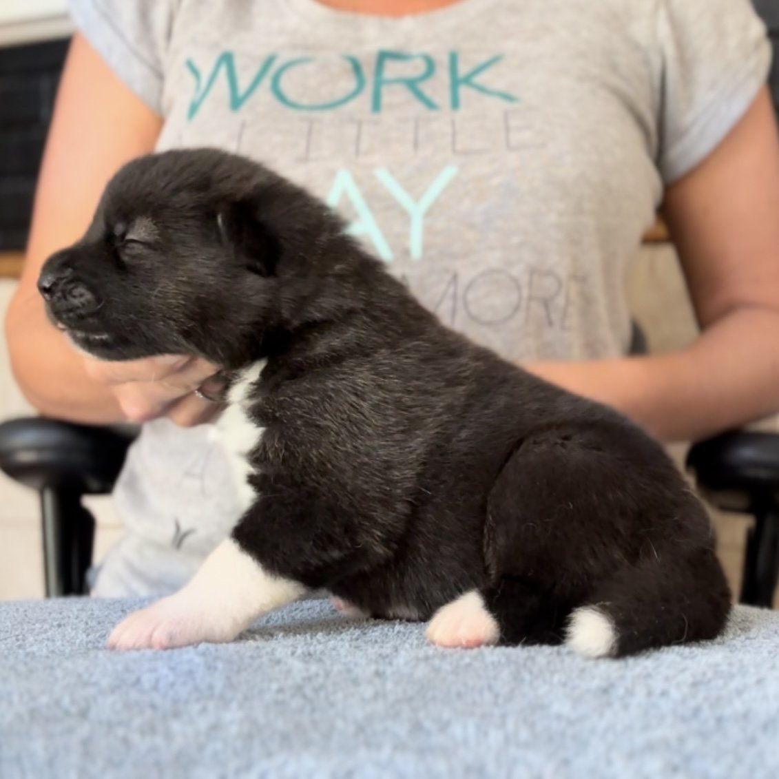 Girl 2 - 2 weeks old