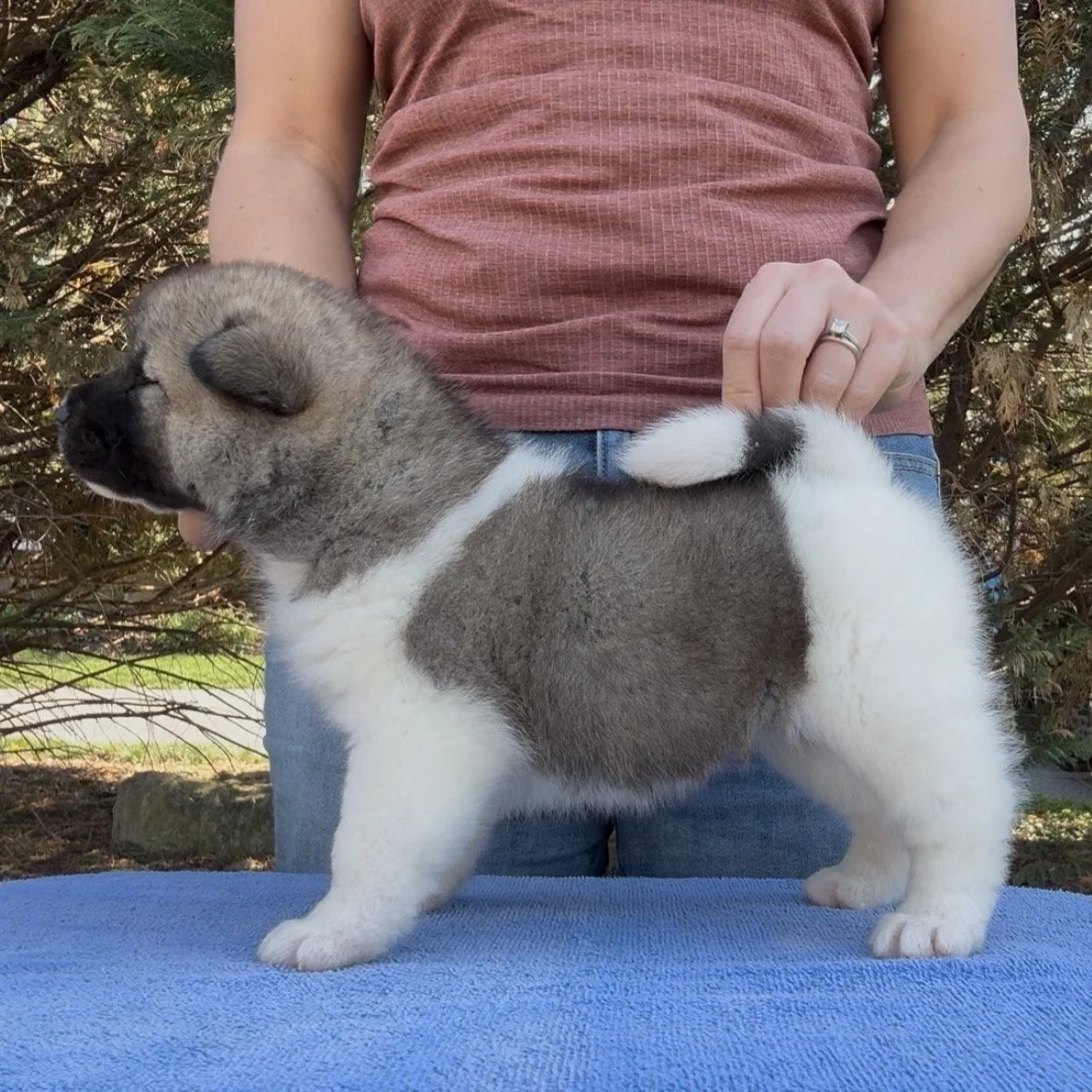 Girl 2 - 4 weeks old