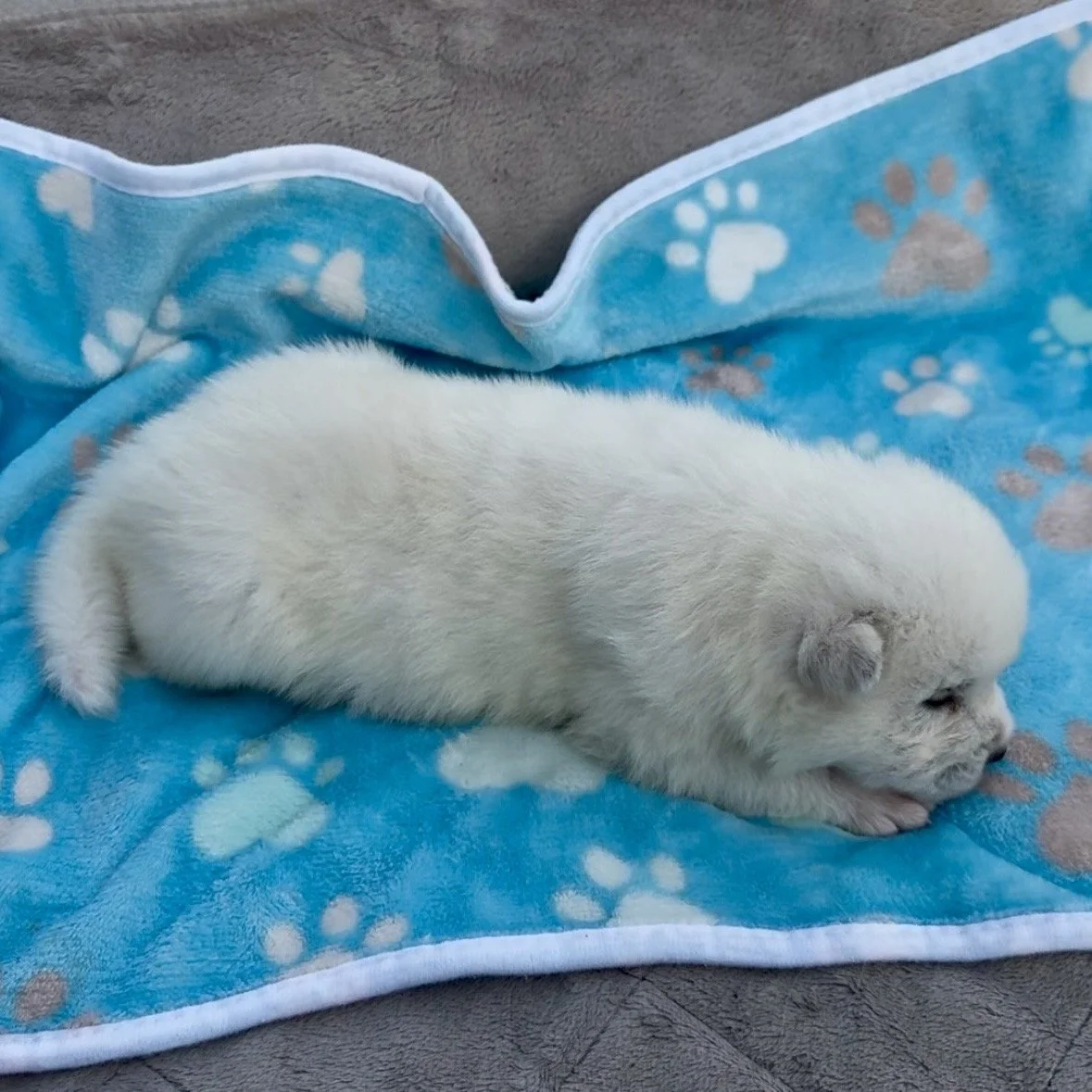 Boy 3 - 2 weeks old
