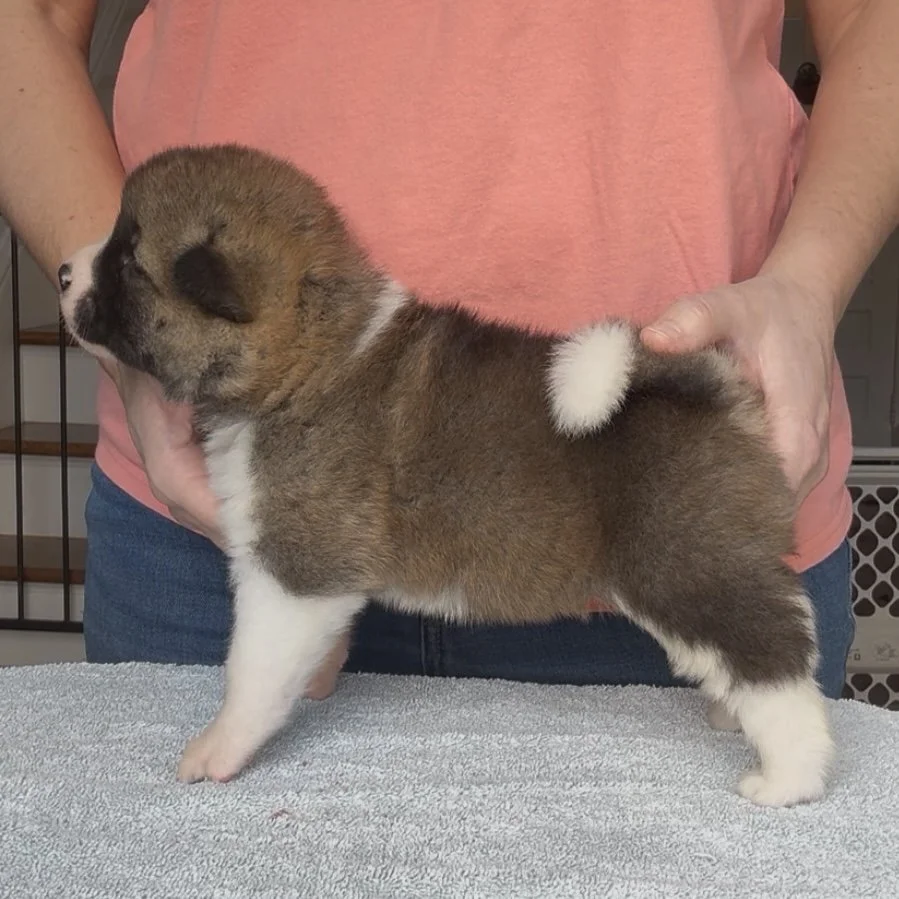 Girl 4 - 3 weeks old