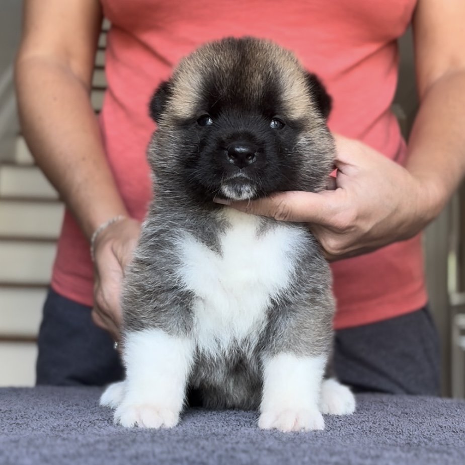 Girl 1 - 4 weeks old