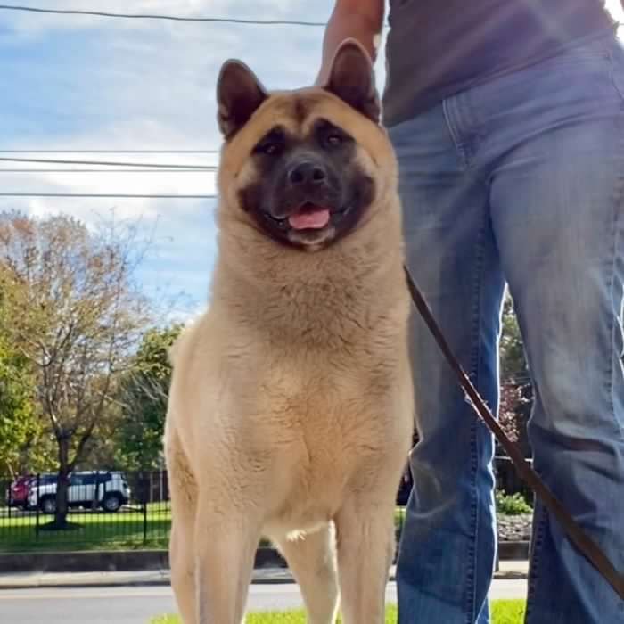 Lucy - mom