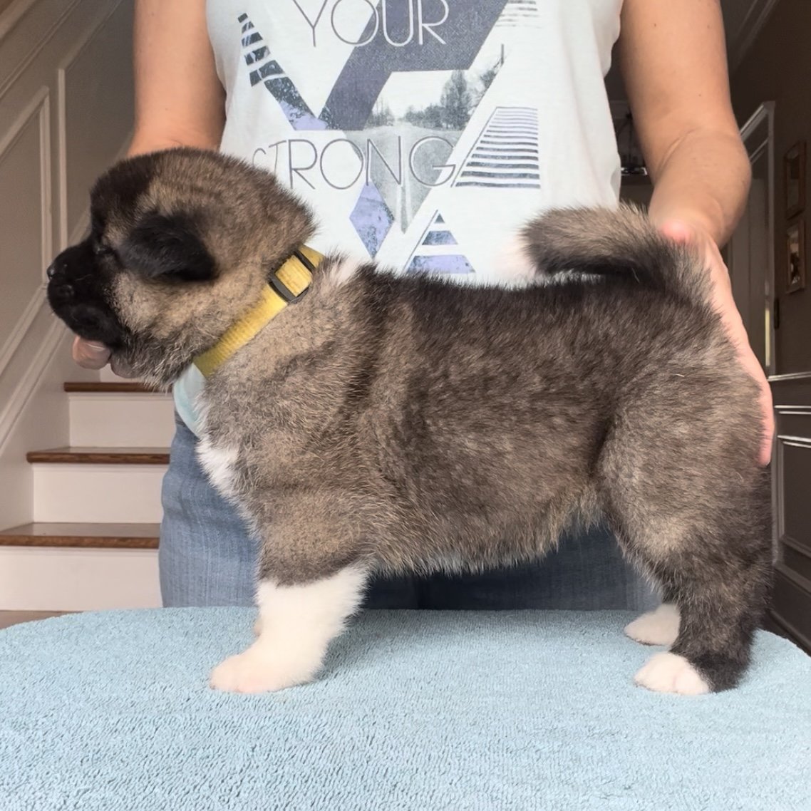 Girl 4 Yellow collar
