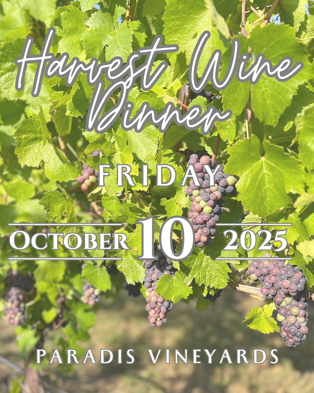 Harvest Wine Dinner