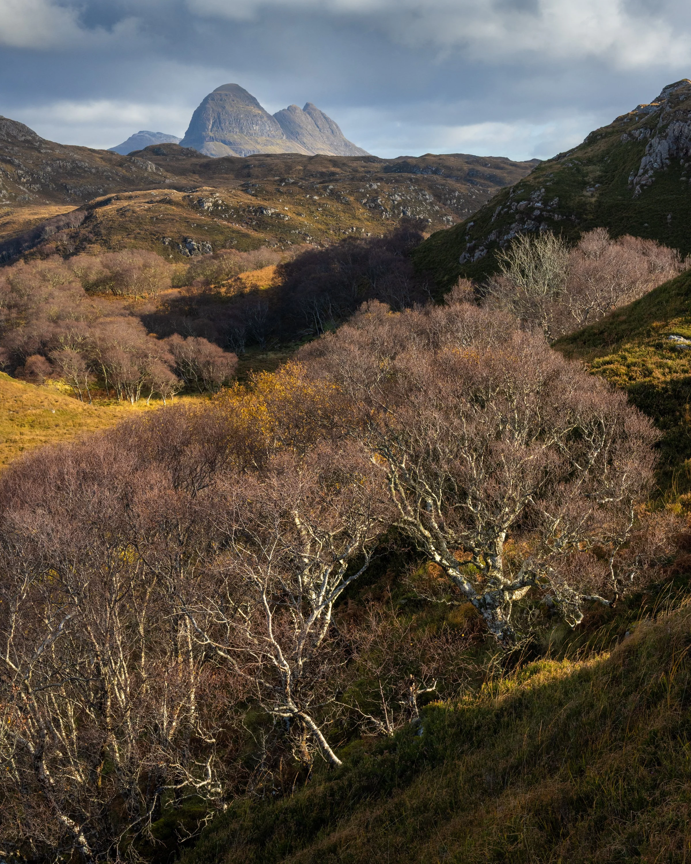 Homage | Suilven