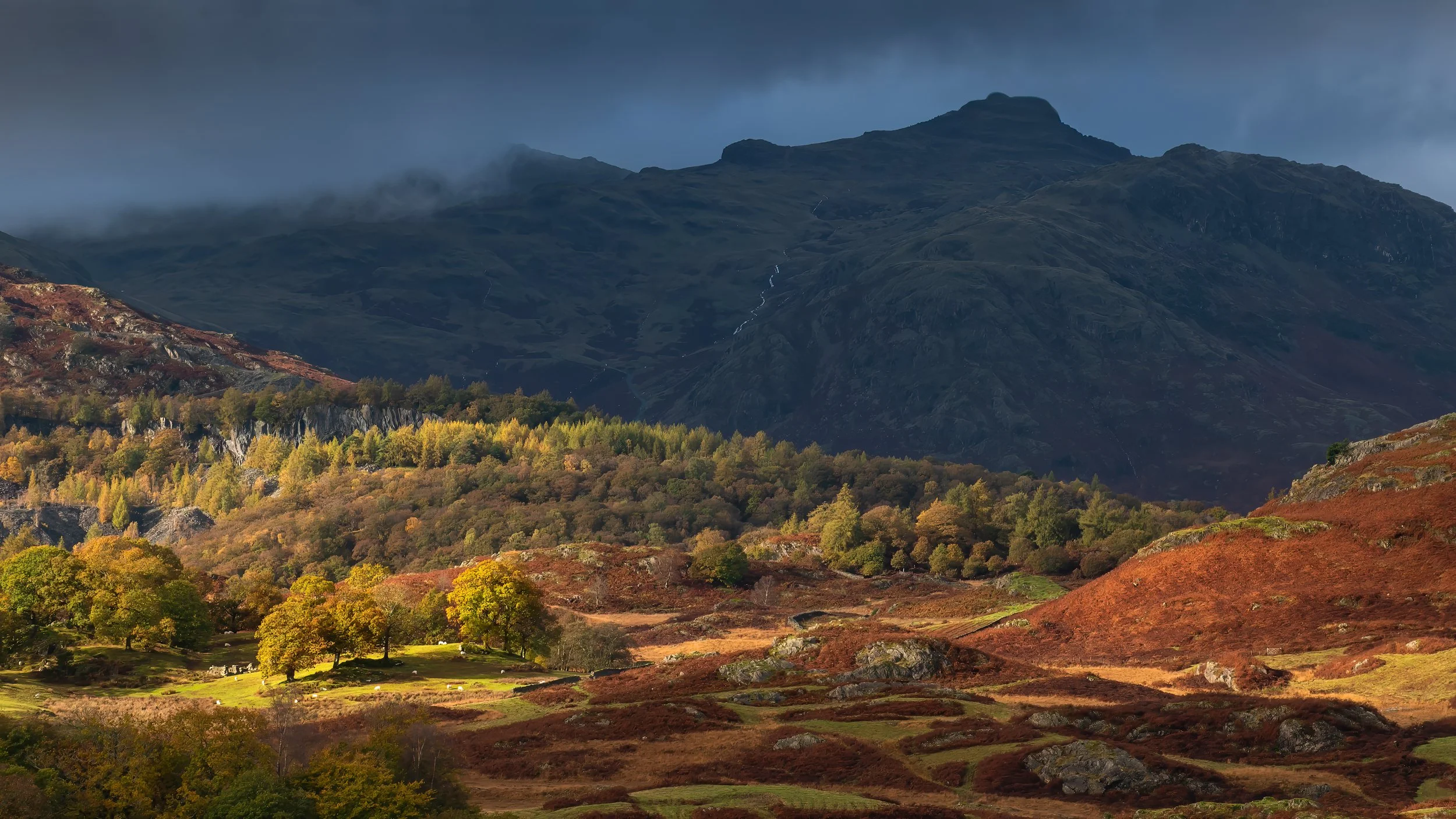 'The Fellowship' - Langale