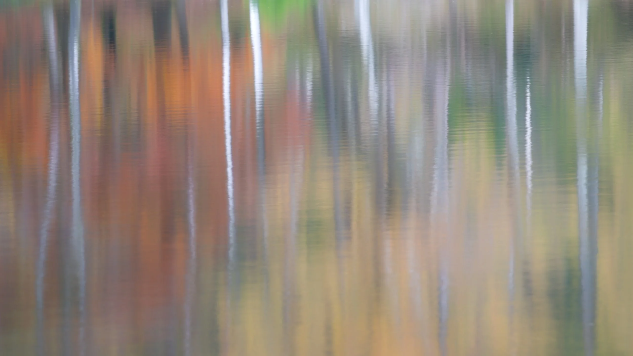 'Spectres' - Blea Tarn