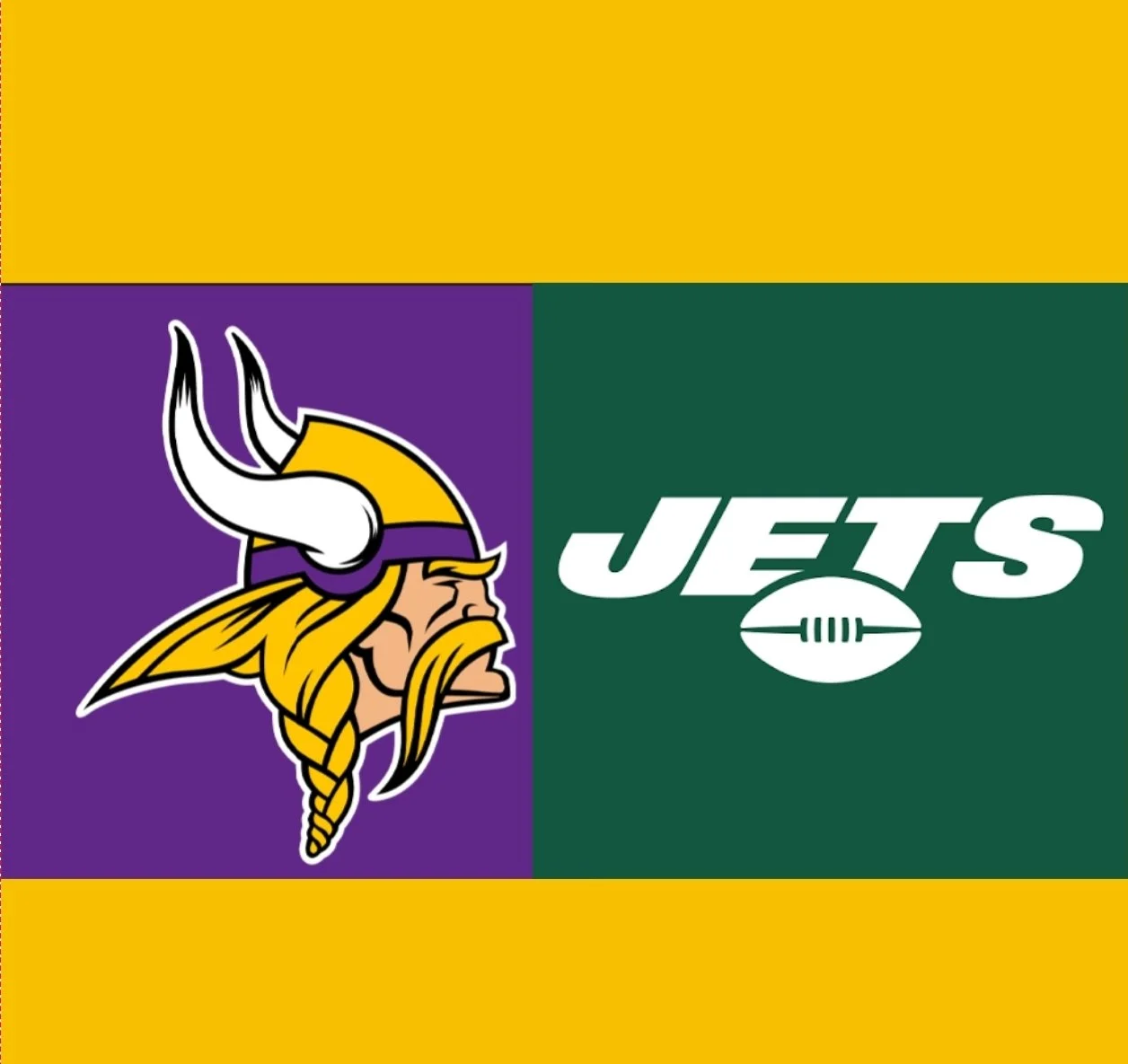 Week 17:  Vikings @ Jets Watch Party