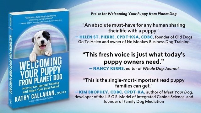 Today is the day! Publication day for this incredible new book from Kathy Callahan, aka @puppy.picks! This is THE BOOK YOU NEED in your back pocket when you bring a new puppy home to your family. Congratulations Kathy!