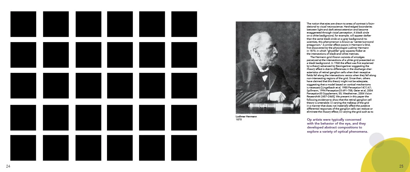 Hidden Color Second Edition13.jpg