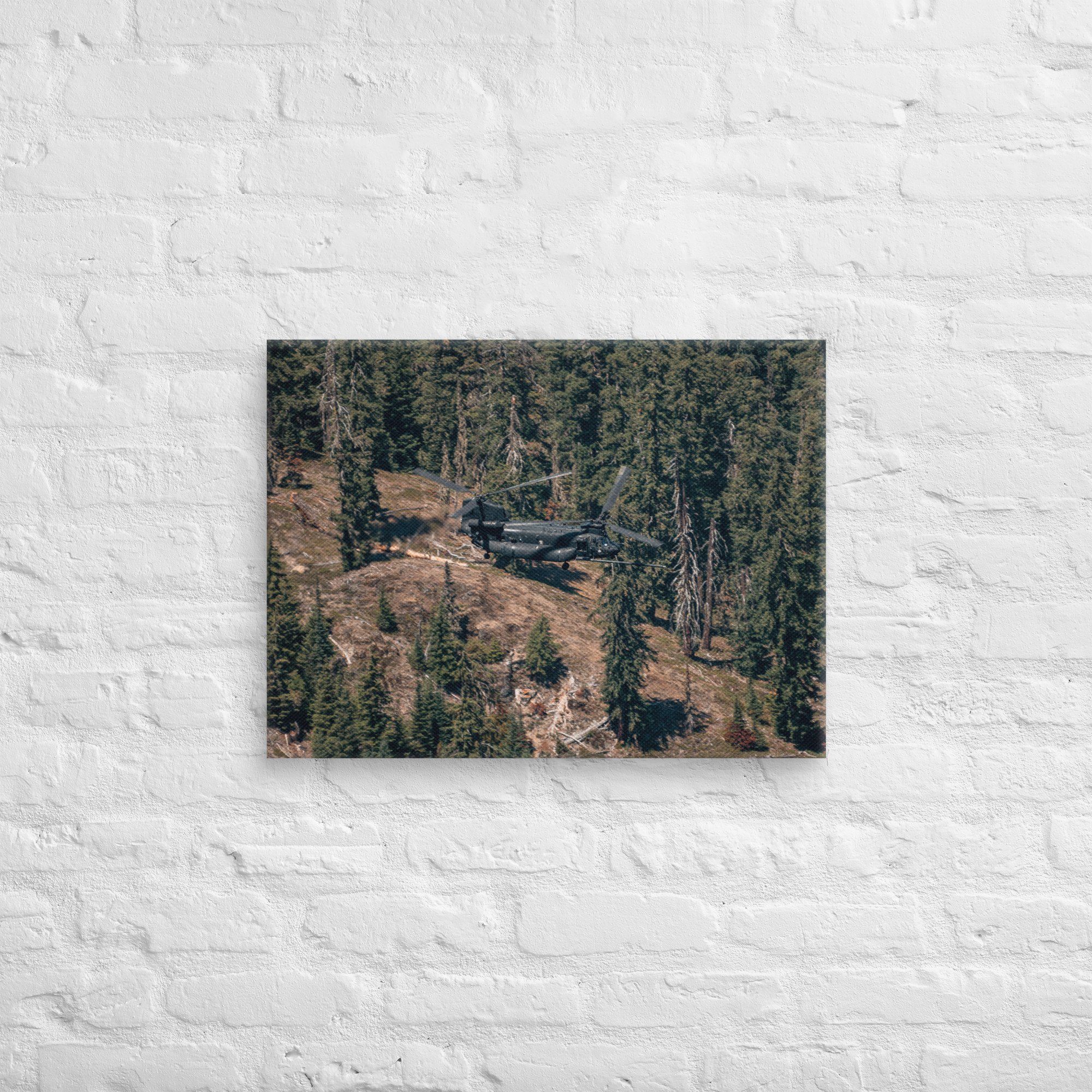 canvas-(in)-18x24-front-663baa9802678.jpg