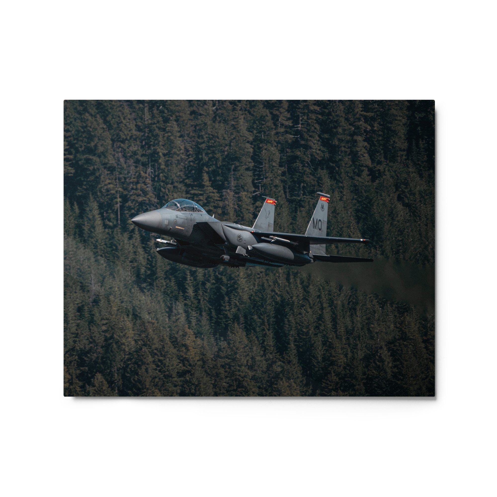 glossy-metal-print-(in)-white-16x20-front-671bdecb8b2c9.jpg