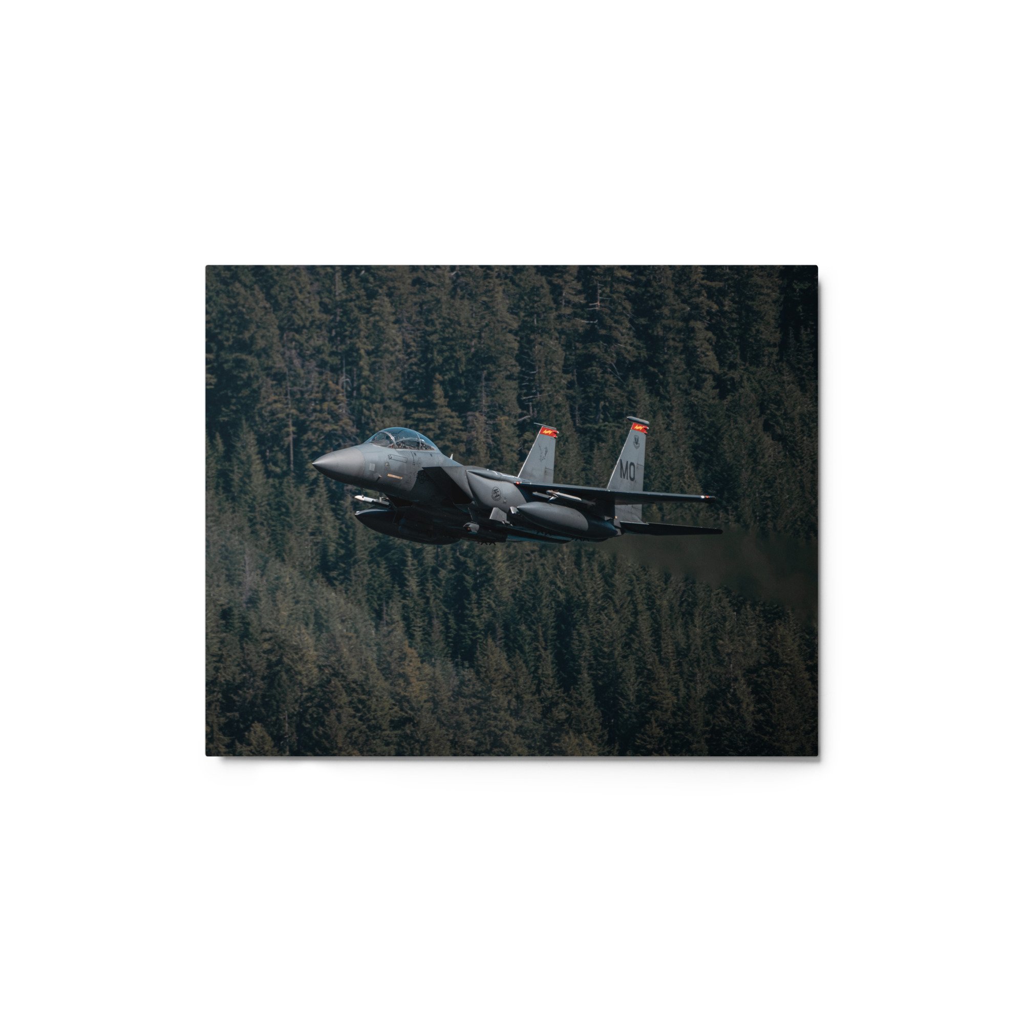glossy-metal-print-(in)-white-8x10-front-671bdecb8c597.jpg