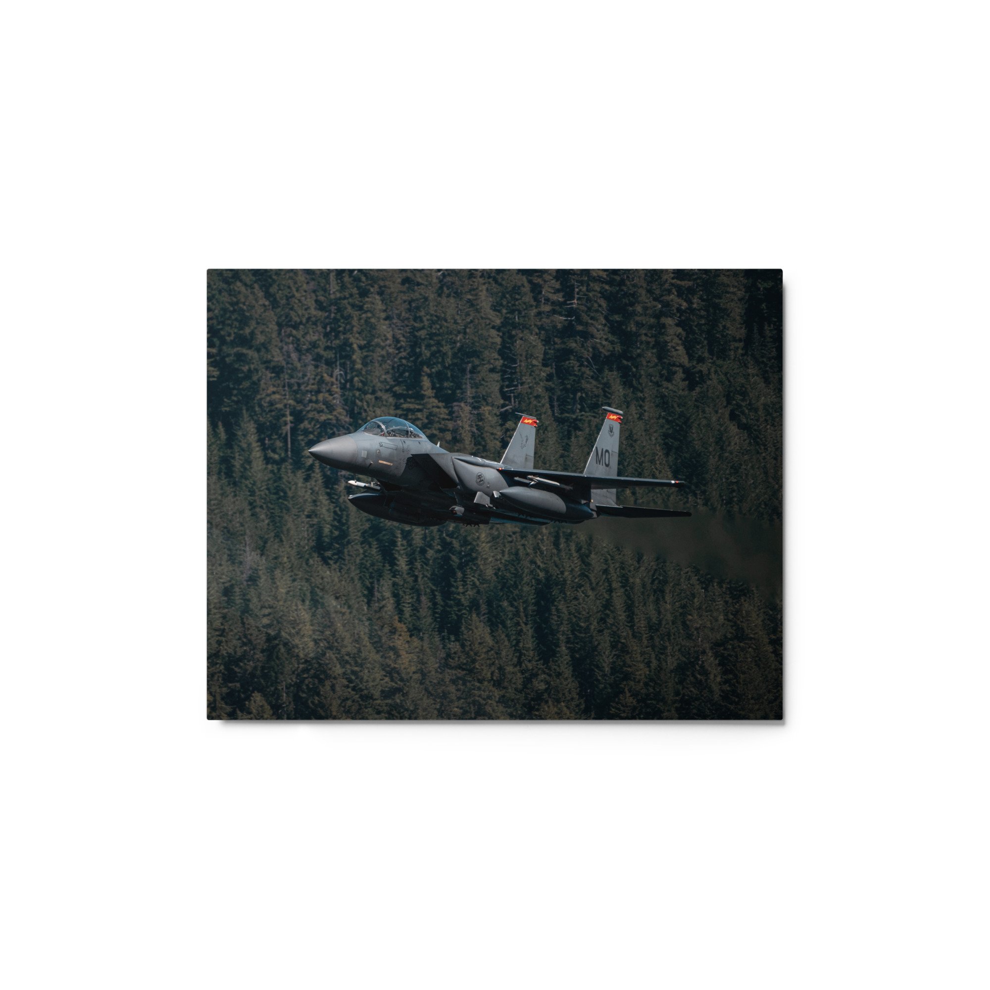 glossy-metal-print-(in)-white-11x14-front-671bdecb8c6bf.jpg