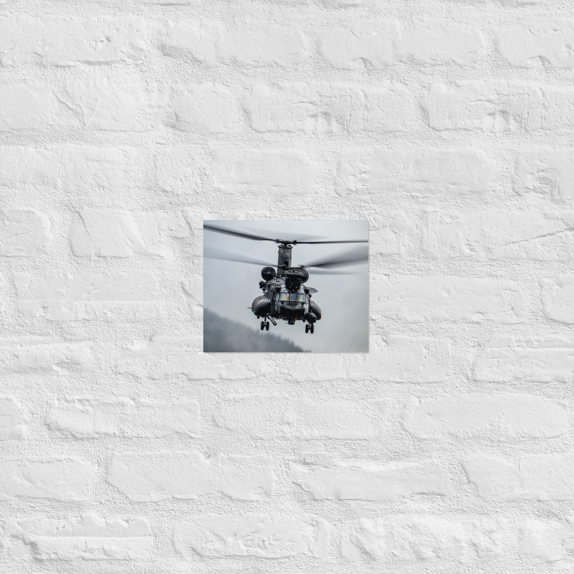 premium-luster-photo-paper-poster-(in)-8x10-front-671bf0802fb5a.jpg