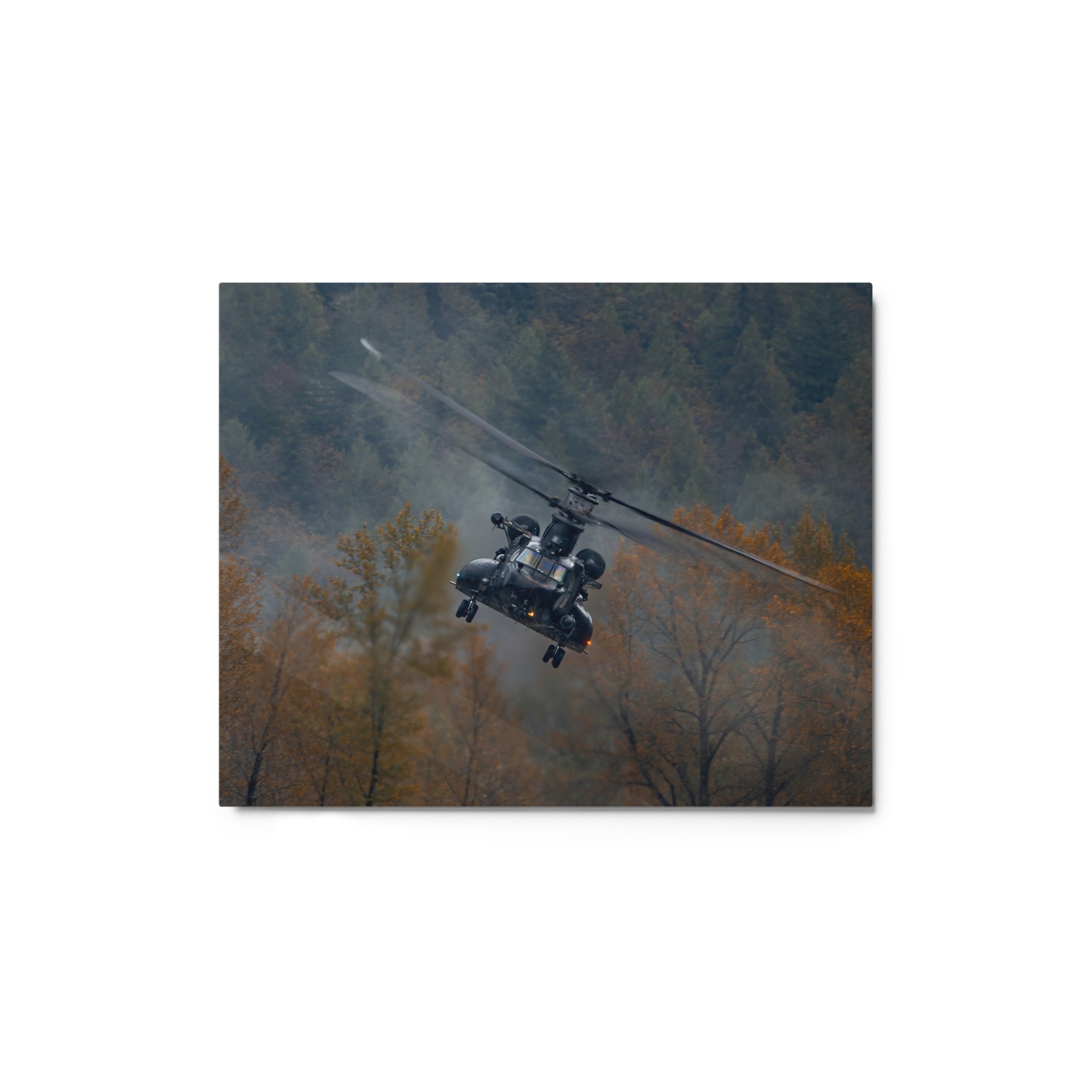glossy-metal-print-(in)-white-8x10-front-671bf930a7b4b.jpg